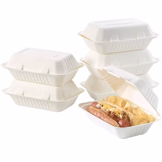 Biologisch abbaubares Einweggeschirr zum Mitnehmen, Essgeschirr, kompostierbares Zuckerrohr, Bagasse, Zellstoff, Papier, Tablett zum Mitnehmen, Verpackung, Lebensmittelbehälter, Lunch-Clamshell-Box